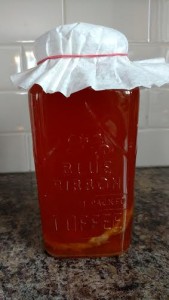 kombucha1